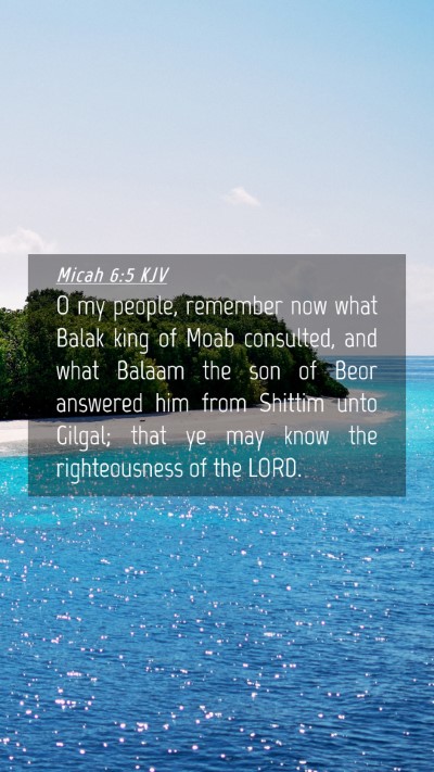 Picture 04 - Micah 6:5 KJV Mobile Phone Wallpaper - O my people, remember now what Balak king of Moab - Mobile Bible Verse Wallpaper