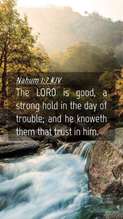 Picture 04 - Nahum 1:7 KJV Mobile Phone Wallpaper - The LORD is good, a strong hold in the day of - Mobile Bible Verse Wallpaper