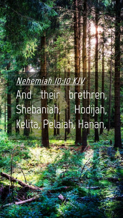 Picture 04 - Nehemiah 10:10 KJV Mobile Phone Wallpaper - And their brethren, Shebaniah, Hodijah, Kelita, - Mobile Bible Verse Wallpaper