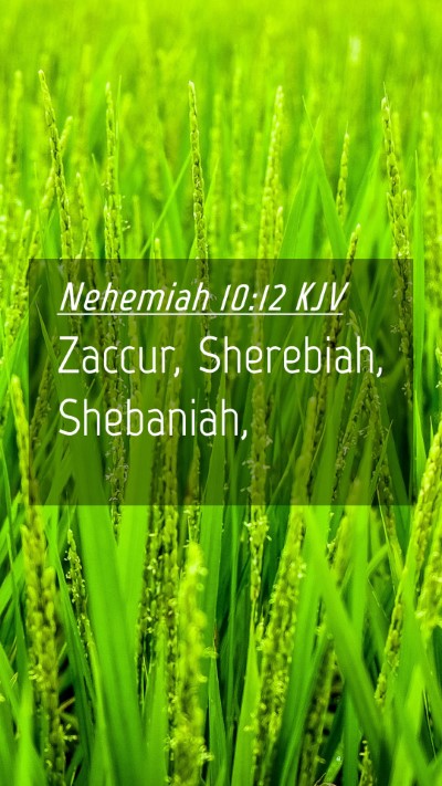 Picture 04 - Nehemiah 10:12 KJV Mobile Phone Wallpaper - Zaccur, Sherebiah, - Mobile Bible Verse Wallpaper