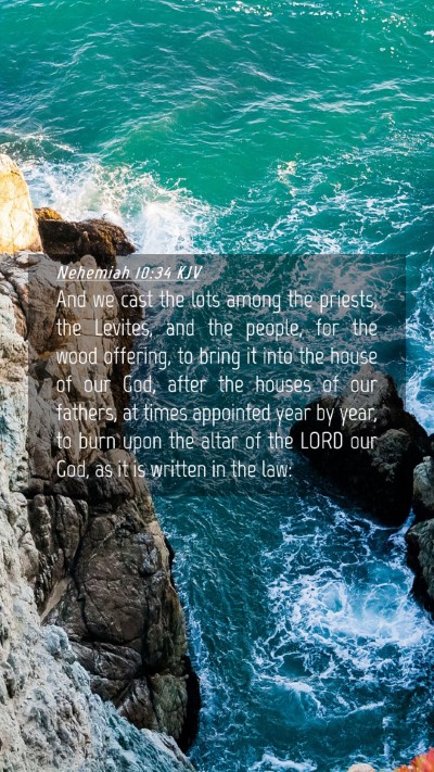 Picture 04 - Nehemiah 10:34 KJV Mobile Phone Wallpaper - And we cast the lots among the priests, the - Mobile Bible Verse Wallpaper