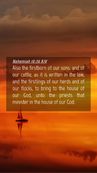 Picture 04 - Nehemiah 10:36 KJV Mobile Phone Wallpaper - Also the firstborn of our sons, and of our - Mobile Bible Verse Wallpaper