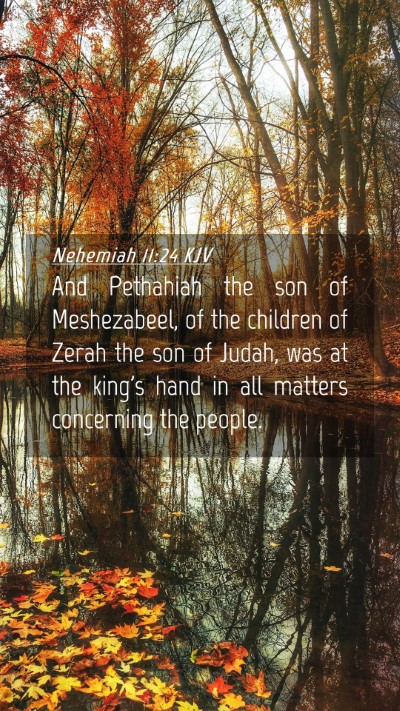 Picture 04 - Nehemiah 11:24 KJV Mobile Phone Wallpaper - And Pethahiah the son of Meshezabeel, of the - Mobile Bible Verse Wallpaper
