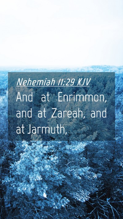 Picture 04 - Nehemiah 11:29 KJV Mobile Phone Wallpaper - And at Enrimmon, and at Zareah, and at - Mobile Bible Verse Wallpaper