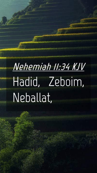 Picture 04 - Nehemiah 11:34 KJV Mobile Phone Wallpaper - Hadid, Zeboim, - Mobile Bible Verse Wallpaper