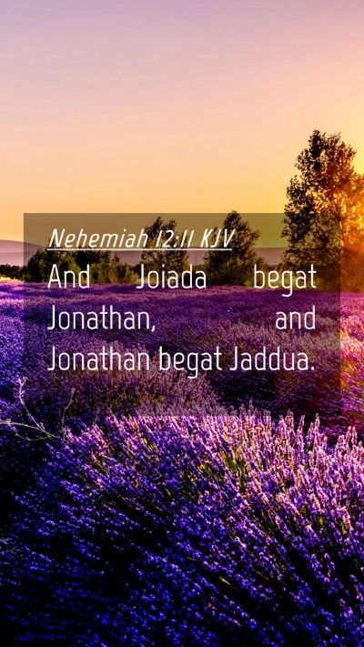 Picture 04 - Nehemiah 12:11 KJV Mobile Phone Wallpaper - And Joiada begat Jonathan, and Jonathan begat - Mobile Bible Verse Wallpaper