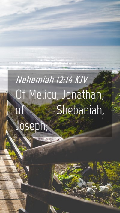 Picture 04 - Nehemiah 12:14 KJV Mobile Phone Wallpaper - Of Melicu, Jonathan; of Shebaniah, - Mobile Bible Verse Wallpaper