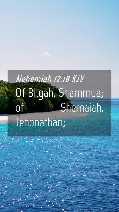 Picture 04 - Nehemiah 12:18 KJV Mobile Phone Wallpaper - Of Bilgah, Shammua; of Shemaiah, - Mobile Bible Verse Wallpaper