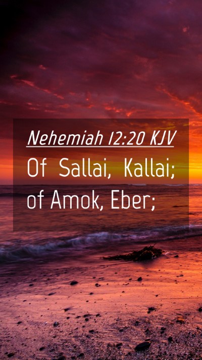 Picture 04 - Nehemiah 12:20 KJV Mobile Phone Wallpaper - Of Sallai, Kallai; of Amok, - Mobile Bible Verse Wallpaper