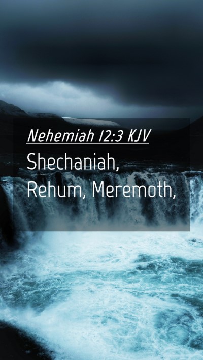 Picture 04 - Nehemiah 12:3 KJV Mobile Phone Wallpaper - Shechaniah, Rehum, - Mobile Bible Verse Wallpaper