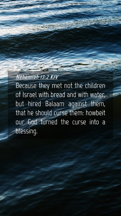 Picture 04 - Nehemiah 13:2 KJV Mobile Phone Wallpaper - Because they met not the children of Israel with - Mobile Bible Verse Wallpaper