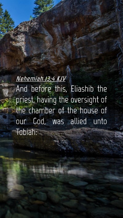 Picture 04 - Nehemiah 13:4 KJV Mobile Phone Wallpaper - And before this, Eliashib the priest, having the - Mobile Bible Verse Wallpaper