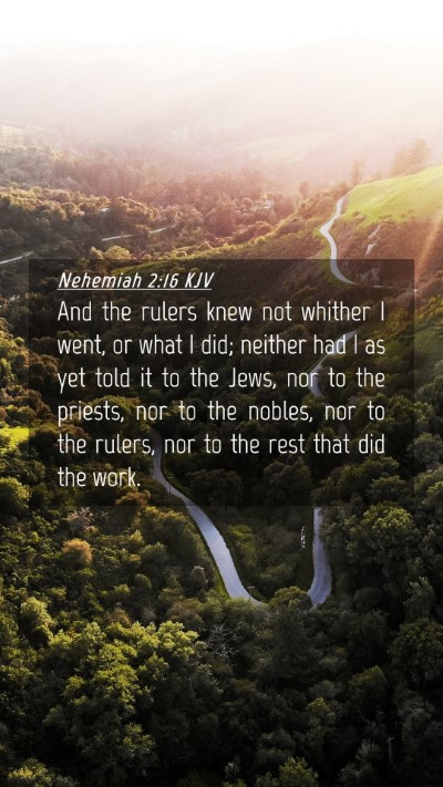 Picture 04 - Nehemiah 2:16 KJV Mobile Phone Wallpaper - And the rulers knew not whither I went, or what I - Mobile Bible Verse Wallpaper