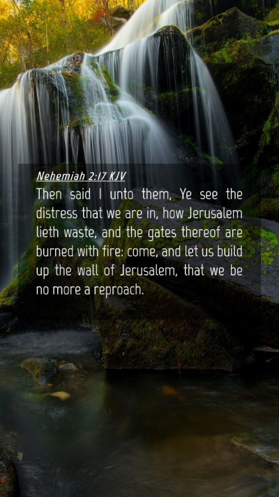 Picture 04 - Nehemiah 2:17 KJV Mobile Phone Wallpaper - Then said I unto them, Ye see the distress that - Mobile Bible Verse Wallpaper