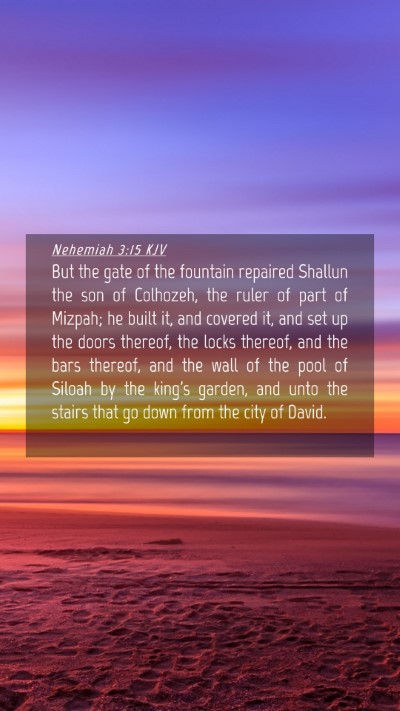 Picture 04 - Nehemiah 3:15 KJV Mobile Phone Wallpaper - But the gate of the fountain repaired Shallun the - Mobile Bible Verse Wallpaper