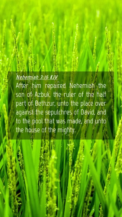 Picture 04 - Nehemiah 3:16 KJV Mobile Phone Wallpaper - After him repaired Nehemiah the son of Azbuk, the - Mobile Bible Verse Wallpaper