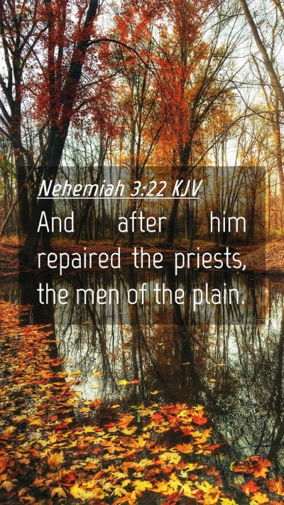 Picture 04 - Nehemiah 3:22 KJV Mobile Phone Wallpaper - And after him repaired the priests, the men of - Mobile Bible Verse Wallpaper