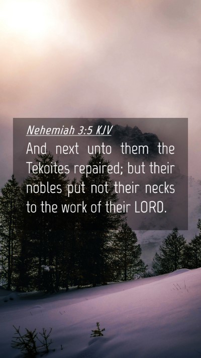 Picture 04 - Nehemiah 3:5 KJV Mobile Phone Wallpaper - And next unto them the Tekoites repaired; but - Mobile Bible Verse Wallpaper