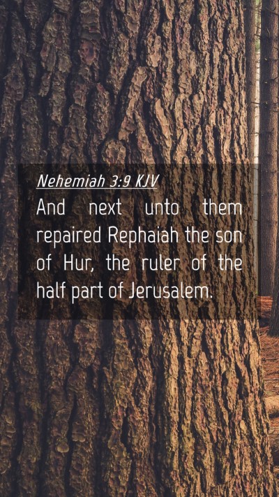 Picture 04 - Nehemiah 3:9 KJV Mobile Phone Wallpaper - And next unto them repaired Rephaiah the son of - Mobile Bible Verse Wallpaper