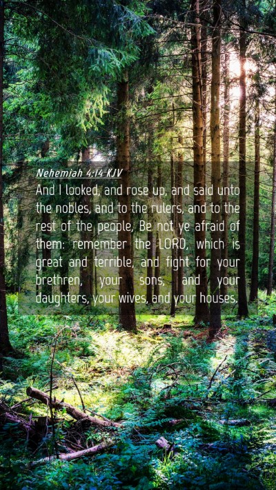 Picture 04 - Nehemiah 4:14 KJV Mobile Phone Wallpaper - And I looked, and rose up, and said unto the - Mobile Bible Verse Wallpaper