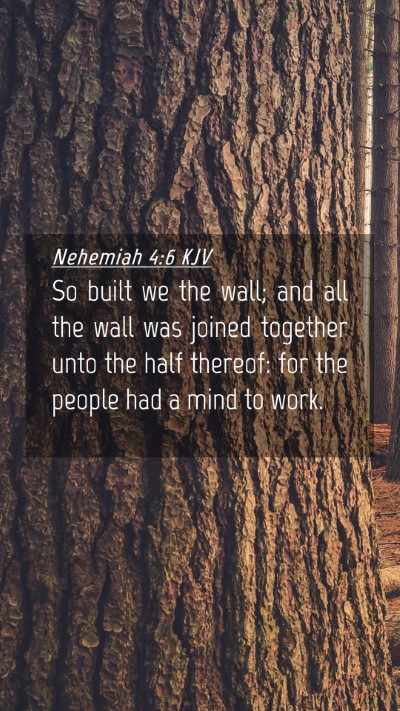 Picture 04 - Nehemiah 4:6 KJV Mobile Phone Wallpaper - So built we the wall; and all the wall was joined - Mobile Bible Verse Wallpaper