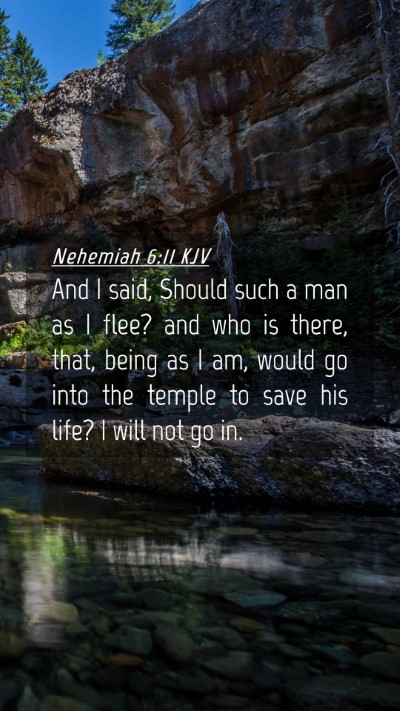 Picture 04 - Nehemiah 6:11 KJV Mobile Phone Wallpaper - And I said, Should such a man as I flee? and who - Mobile Bible Verse Wallpaper