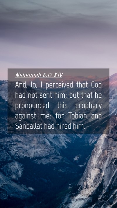 Picture 04 - Nehemiah 6:12 KJV Mobile Phone Wallpaper - And, lo, I perceived that God had not sent him; - Mobile Bible Verse Wallpaper