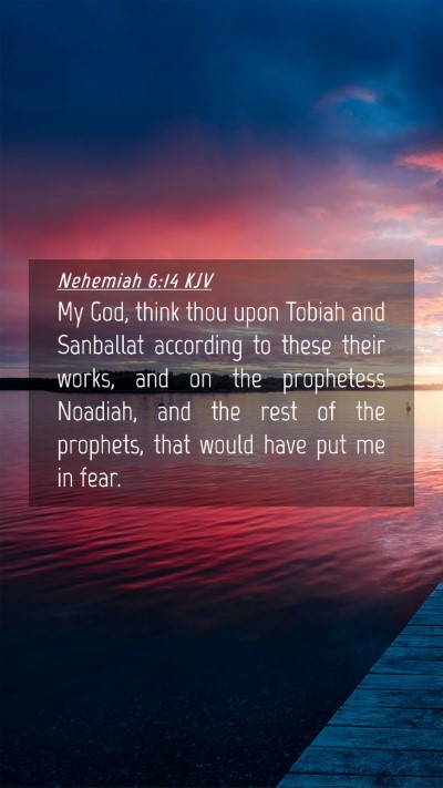 Picture 04 - Nehemiah 6:14 KJV Mobile Phone Wallpaper - My God, think thou upon Tobiah and Sanballat - Mobile Bible Verse Wallpaper