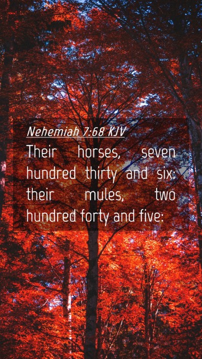 Picture 04 - Nehemiah 7:68 KJV Mobile Phone Wallpaper - Their horses, seven hundred thirty and six: their - Mobile Bible Verse Wallpaper