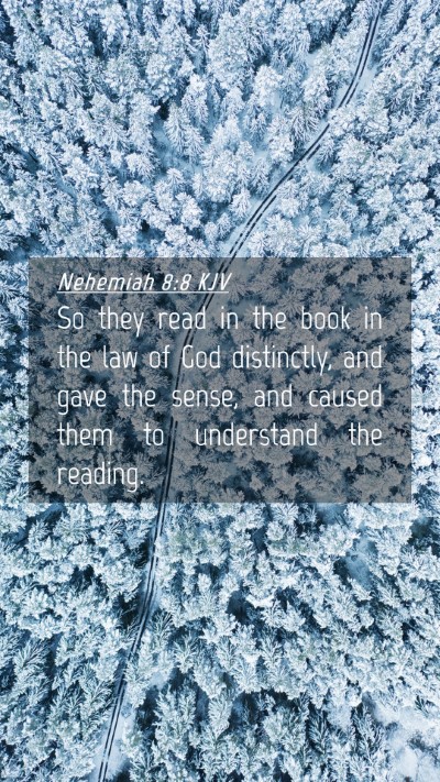 Picture 04 - Nehemiah 8:8 KJV Mobile Phone Wallpaper - So they read in the book in the law of God - Mobile Bible Verse Wallpaper