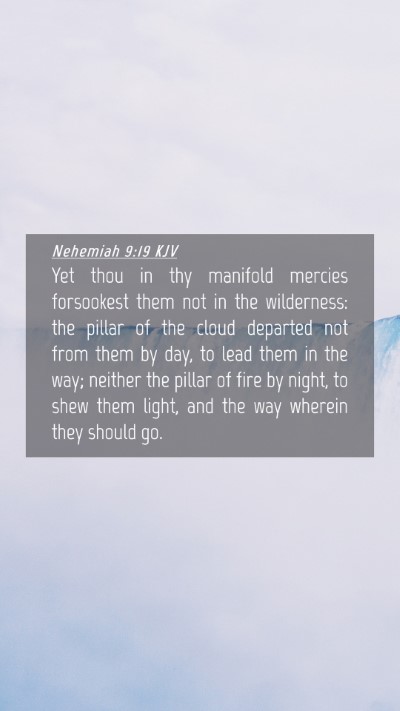 Picture 04 - Nehemiah 9:19 KJV Mobile Phone Wallpaper - Yet thou in thy manifold mercies forsookest them - Mobile Bible Verse Wallpaper