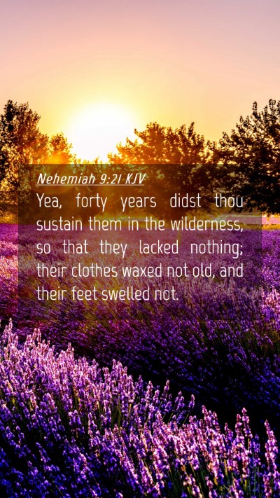 Picture 04 - Nehemiah 9:21 KJV Mobile Phone Wallpaper - Yea, forty years didst thou sustain them in the - Mobile Bible Verse Wallpaper