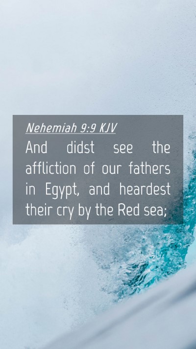 Picture 04 - Nehemiah 9:9 KJV Mobile Phone Wallpaper - And didst see the affliction of our fathers in - Mobile Bible Verse Wallpaper