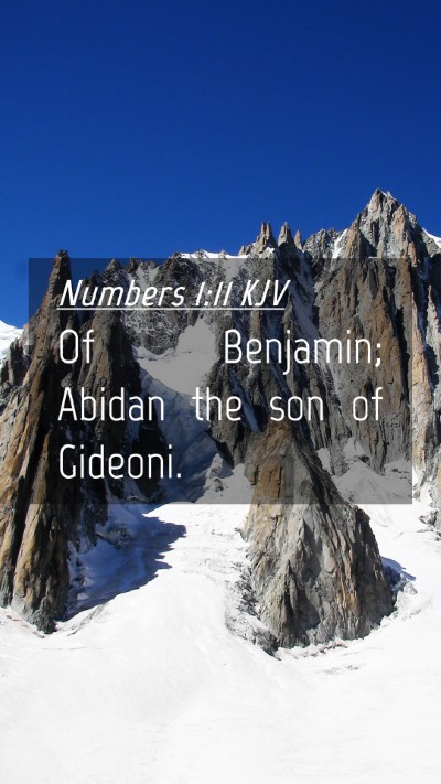 Picture 04 - Numbers 1:11 KJV Mobile Phone Wallpaper - Of Benjamin; Abidan the son of - Mobile Bible Verse Wallpaper
