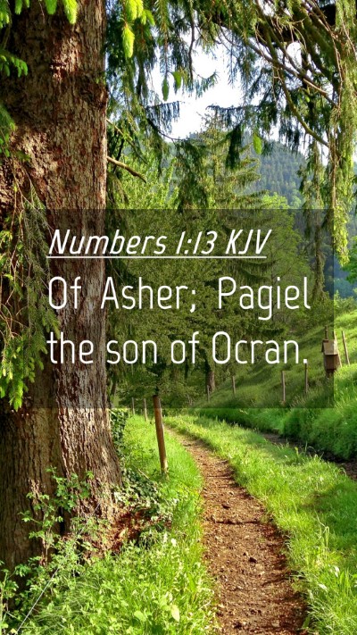 Picture 04 - Numbers 1:13 KJV Mobile Phone Wallpaper - Of Asher; Pagiel the son of - Mobile Bible Verse Wallpaper