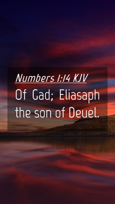 Picture 04 - Numbers 1:14 KJV Mobile Phone Wallpaper - Of Gad; Eliasaph the son of - Mobile Bible Verse Wallpaper