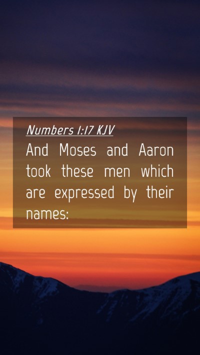 Picture 04 - Numbers 1:17 KJV Mobile Phone Wallpaper - And Moses and Aaron took these men which are - Mobile Bible Verse Wallpaper