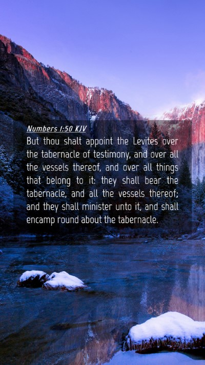 Picture 04 - Numbers 1:50 KJV Mobile Phone Wallpaper - But thou shalt appoint the Levites over the - Mobile Bible Verse Wallpaper