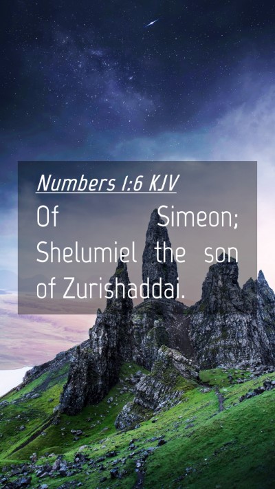 Picture 04 - Numbers 1:6 KJV Mobile Phone Wallpaper - Of Simeon; Shelumiel the son of - Mobile Bible Verse Wallpaper