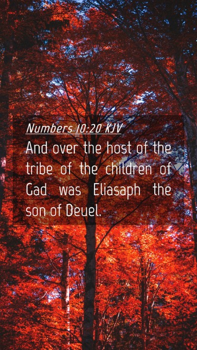 Picture 04 - Numbers 10:20 KJV Mobile Phone Wallpaper - And over the host of the tribe of the children of - Mobile Bible Verse Wallpaper