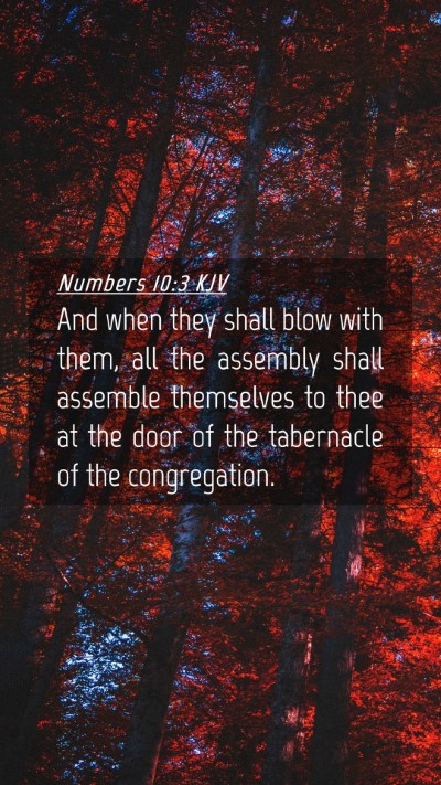 Picture 04 - Numbers 10:3 KJV Mobile Phone Wallpaper - And when they shall blow with them, all the - Mobile Bible Verse Wallpaper