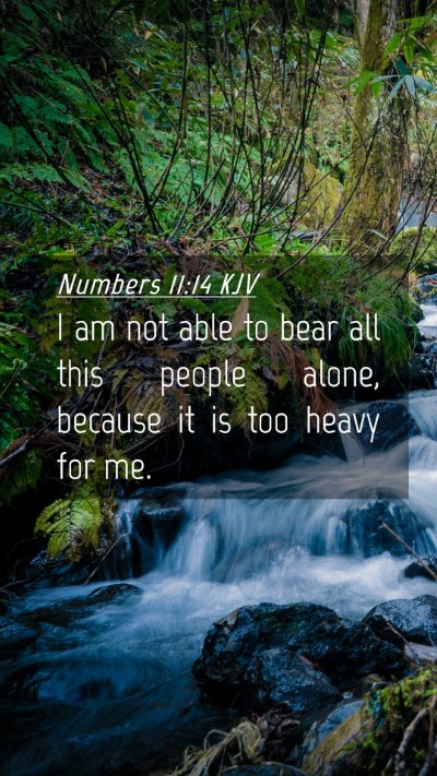 Picture 04 - Numbers 11:14 KJV Mobile Phone Wallpaper - I am not able to bear all this people alone, - Mobile Bible Verse Wallpaper