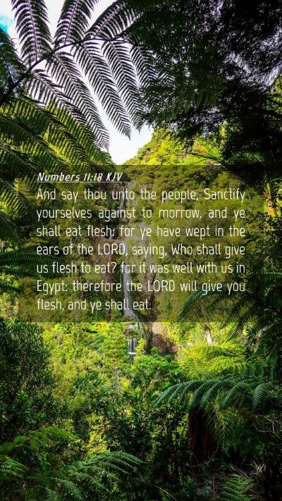 Picture 04 - Numbers 11:18 KJV Mobile Phone Wallpaper - And say thou unto the people, Sanctify yourselves - Mobile Bible Verse Wallpaper