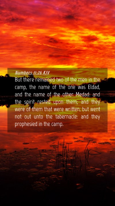 Picture 04 - Numbers 11:26 KJV Mobile Phone Wallpaper - But there remained two of the men in the camp, - Mobile Bible Verse Wallpaper