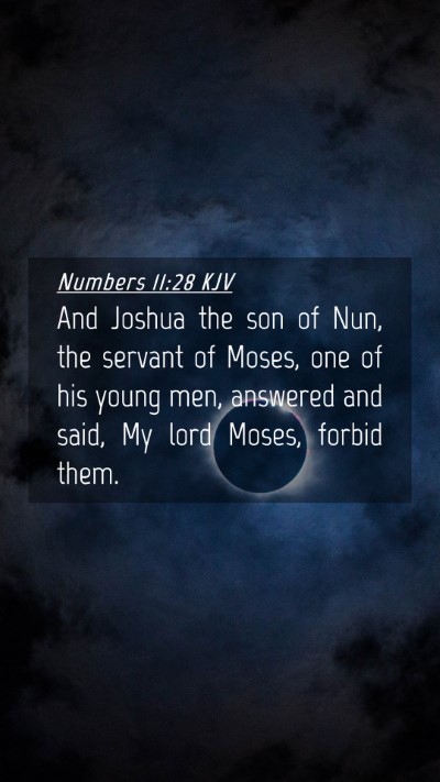 Picture 04 - Numbers 11:28 KJV Mobile Phone Wallpaper - And Joshua the son of Nun, the servant of Moses, - Mobile Bible Verse Wallpaper
