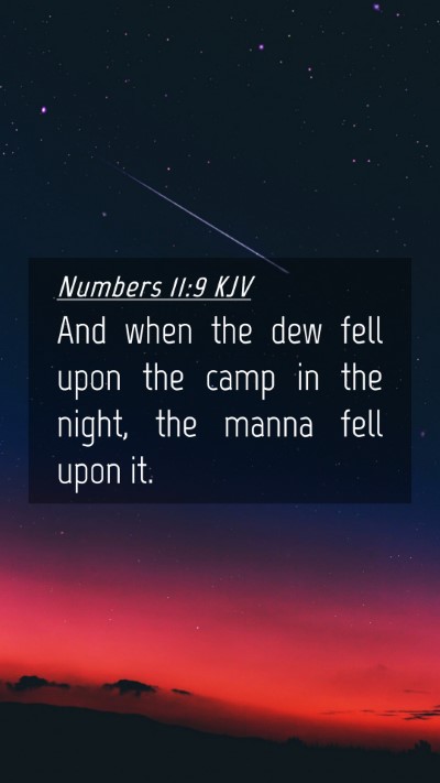 Picture 04 - Numbers 11:9 KJV Mobile Phone Wallpaper - And when the dew fell upon the camp in the night, - Mobile Bible Verse Wallpaper