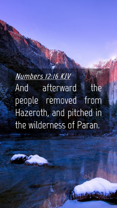 Picture 04 - Numbers 12:16 KJV Mobile Phone Wallpaper - And afterward the people removed from Hazeroth, - Mobile Bible Verse Wallpaper