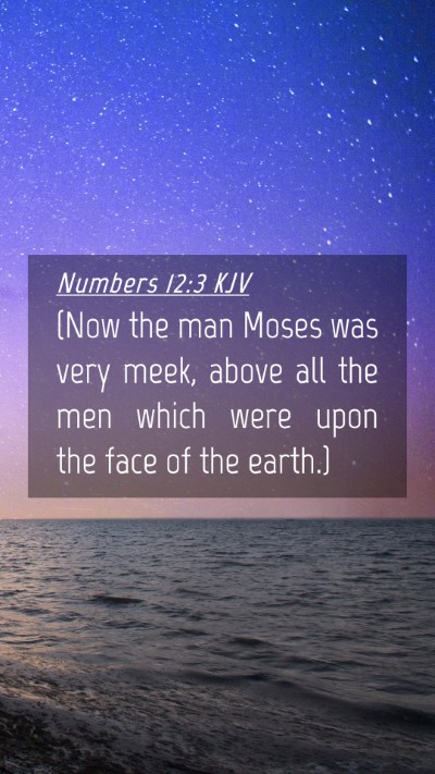 Picture 04 - Numbers 12:3 KJV Mobile Phone Wallpaper - (Now the man Moses was very meek, above all the - Mobile Bible Verse Wallpaper