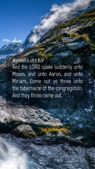 Picture 04 - Numbers 12:4 KJV Mobile Phone Wallpaper - And the LORD spake suddenly unto Moses, and unto - Mobile Bible Verse Wallpaper