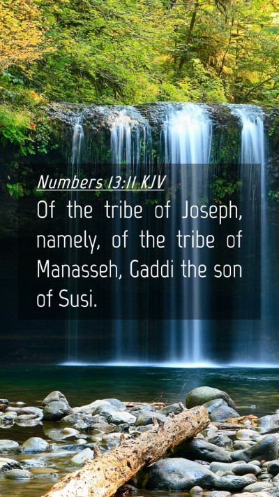 Picture 04 - Numbers 13:11 KJV Mobile Phone Wallpaper - Of the tribe of Joseph, namely, of the tribe of - Mobile Bible Verse Wallpaper